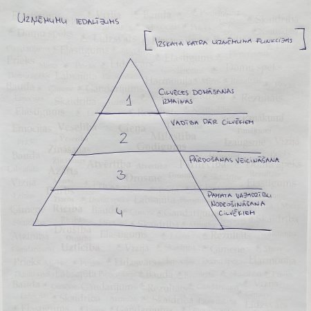 Ko mēs iegūstam, ja izprotam uzņēmumu dalījumu?