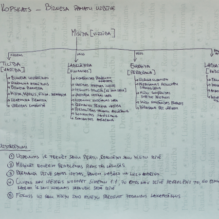 Ko mēs iegūstam no kopskata biznesa vadības sistēmai?