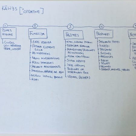 Kālija trūkums organismā no prāta psiholoģijas