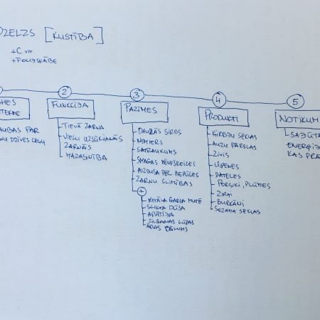 Dzelzs trūkums organismā no prāta psiholoģijas